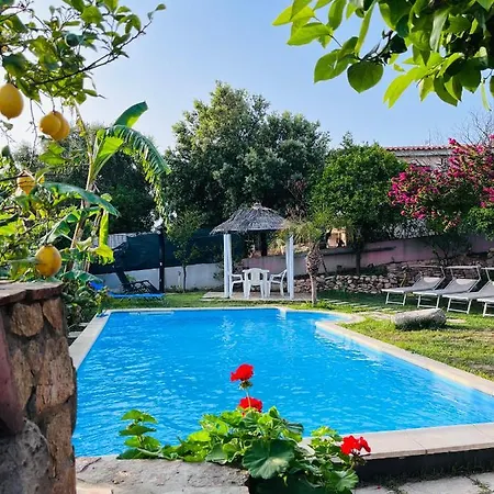 Villa Abeti *